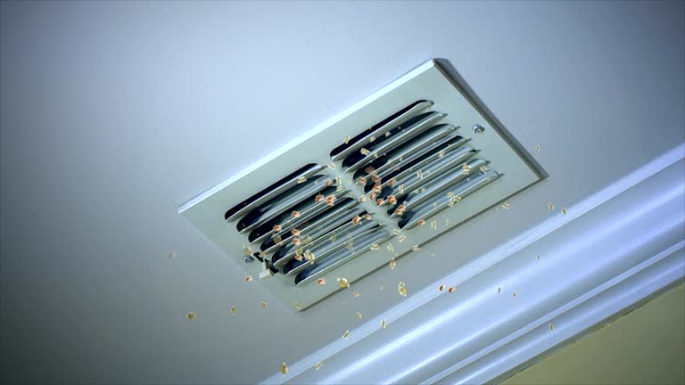 Best Best Air Duct Cleaning Near Me  in Hurlburt Field, FL