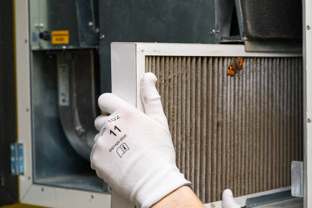 Best Dryer Vent Cleaning Services  in Hurlburt Field, FL