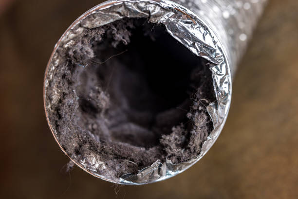 Best Local Air Duct Cleaning Services  in Hurlburt Field, FL